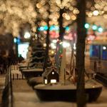 Magnificent Mile Shopping & Strolling