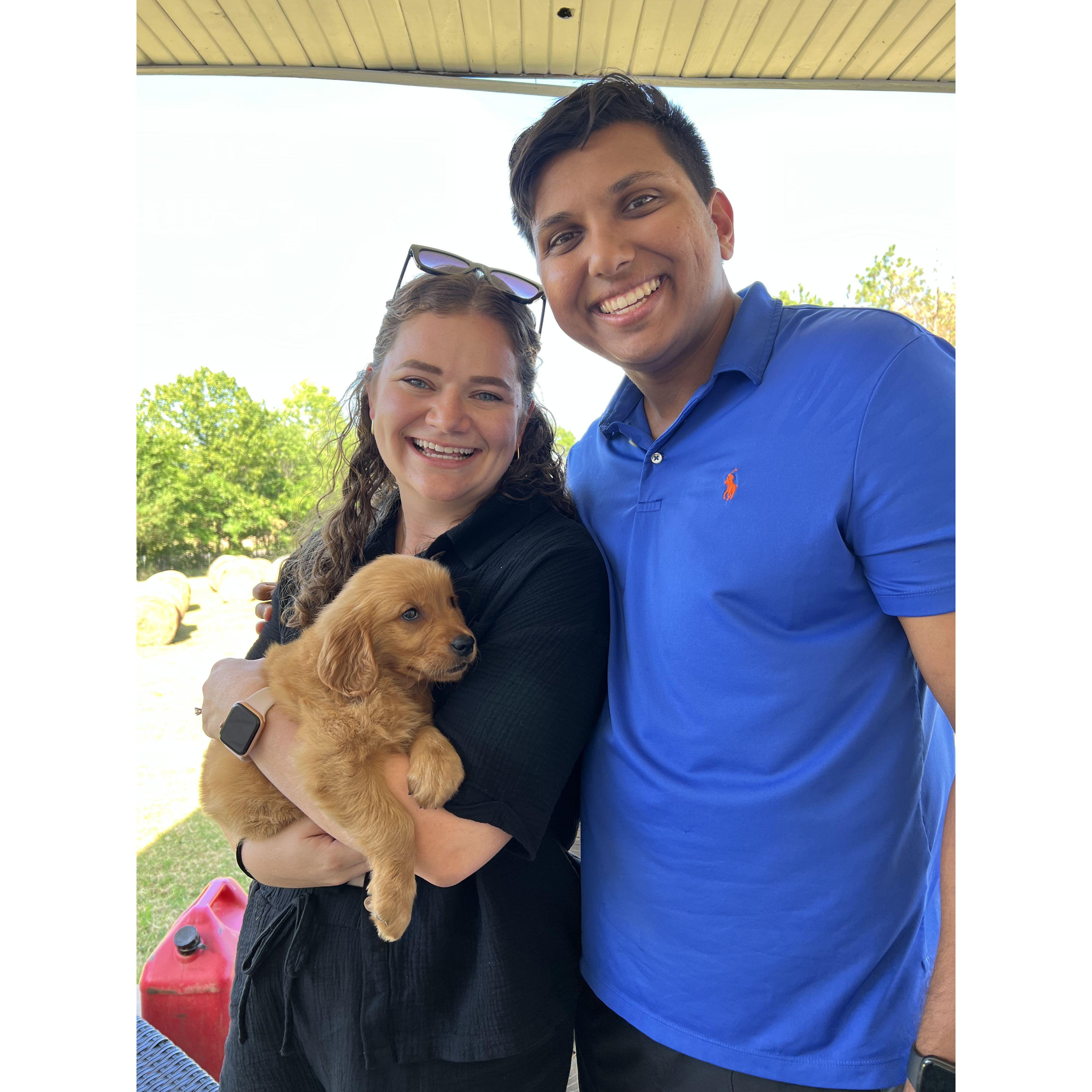 When we picked up our Red Golden Retriever for the first time, Lando!