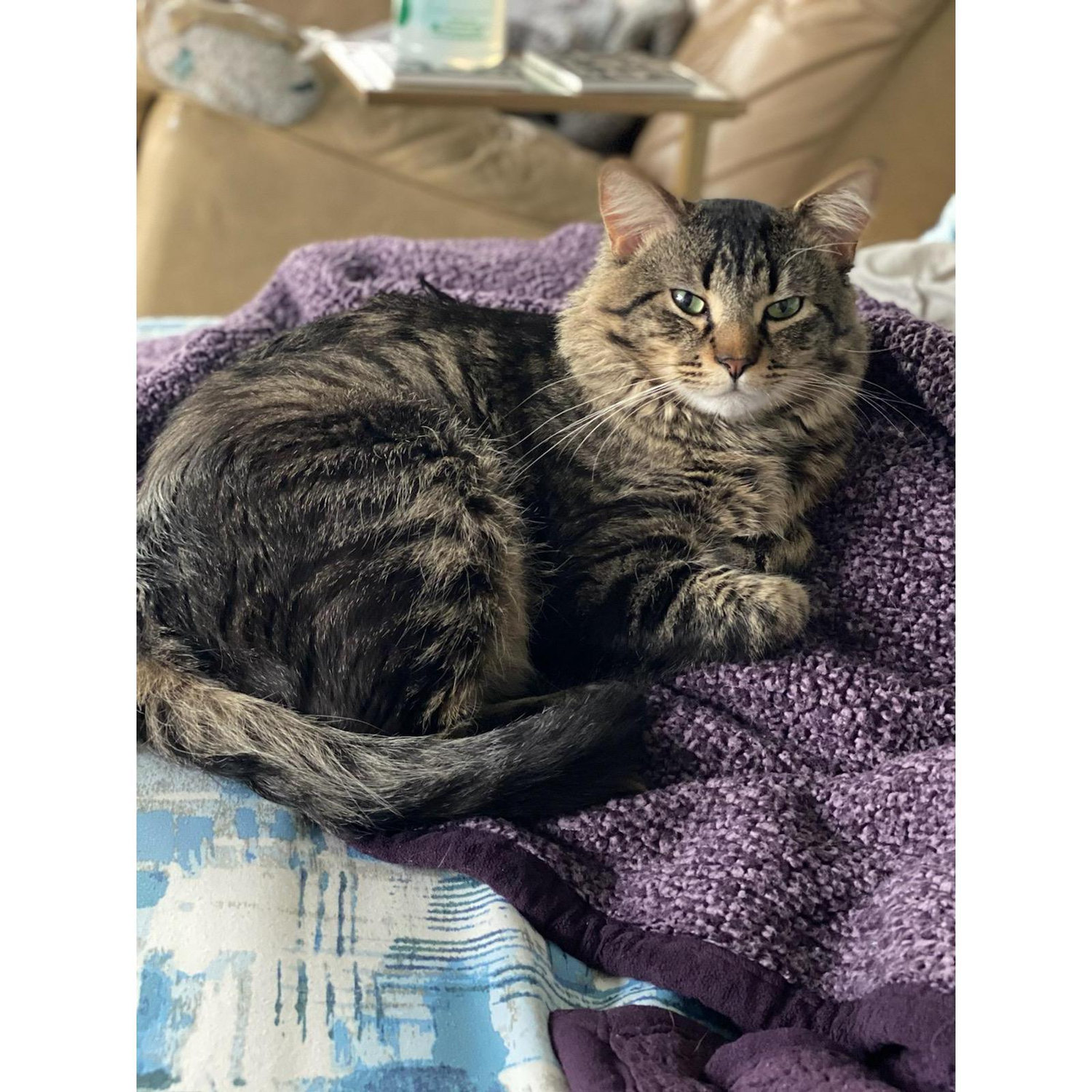 Louie