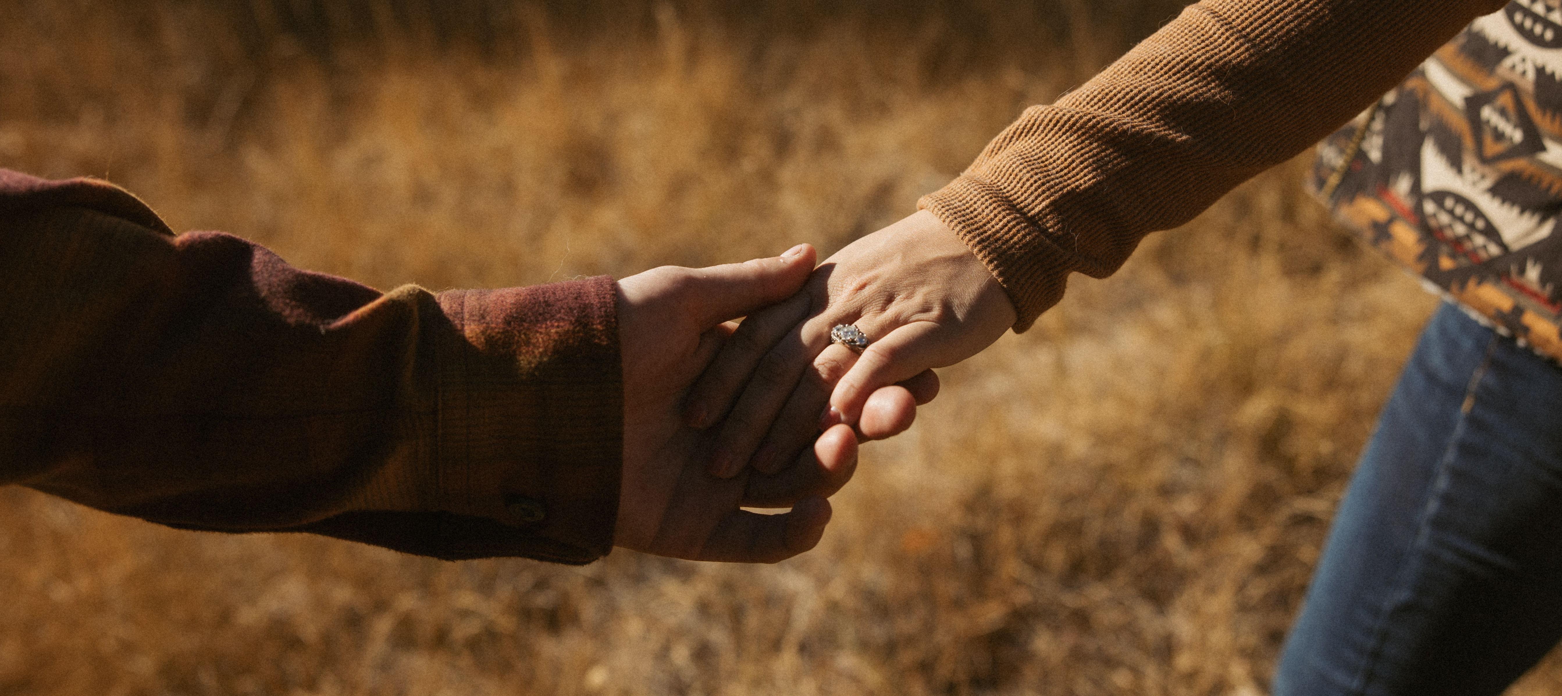 d9d55c45-f200-43ca-80a8-0d84135c51e1