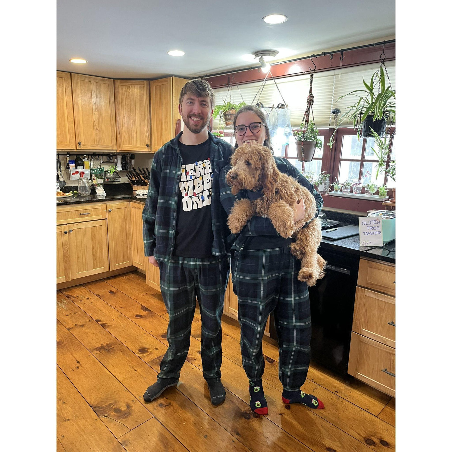 Festive family, continued