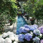 United States Botanic Garden
