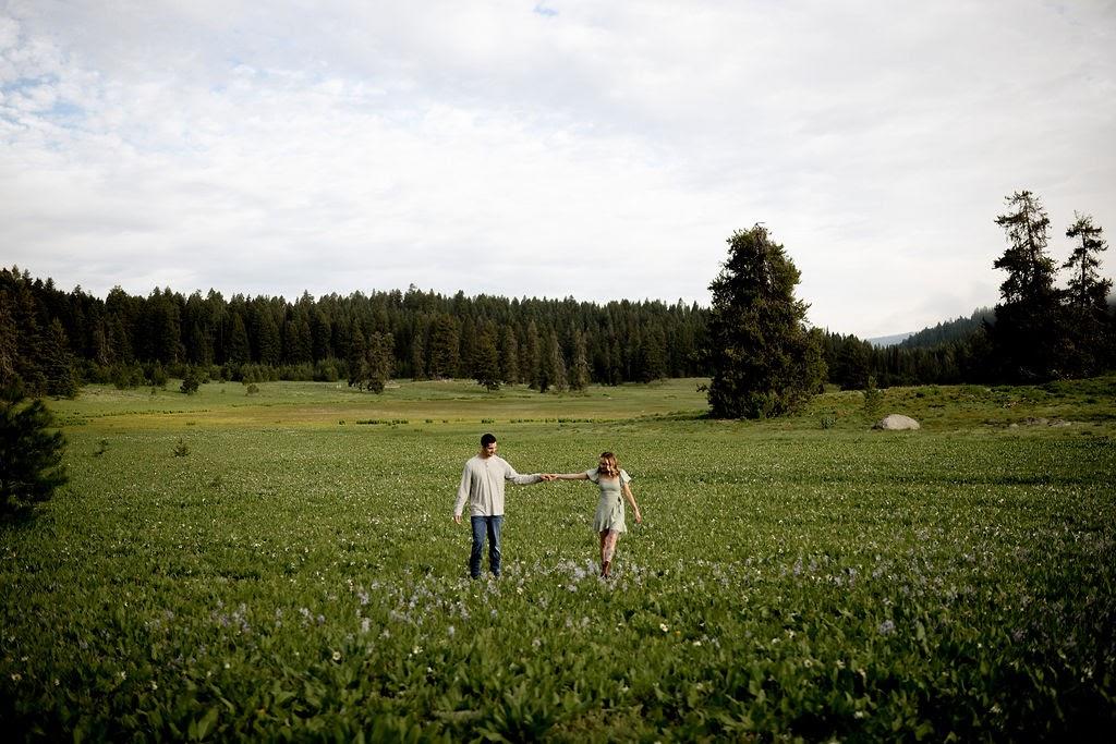 d9d90a73-73f6-4b0e-950a-1098f8eda83b