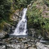 El Yunque National Forest
