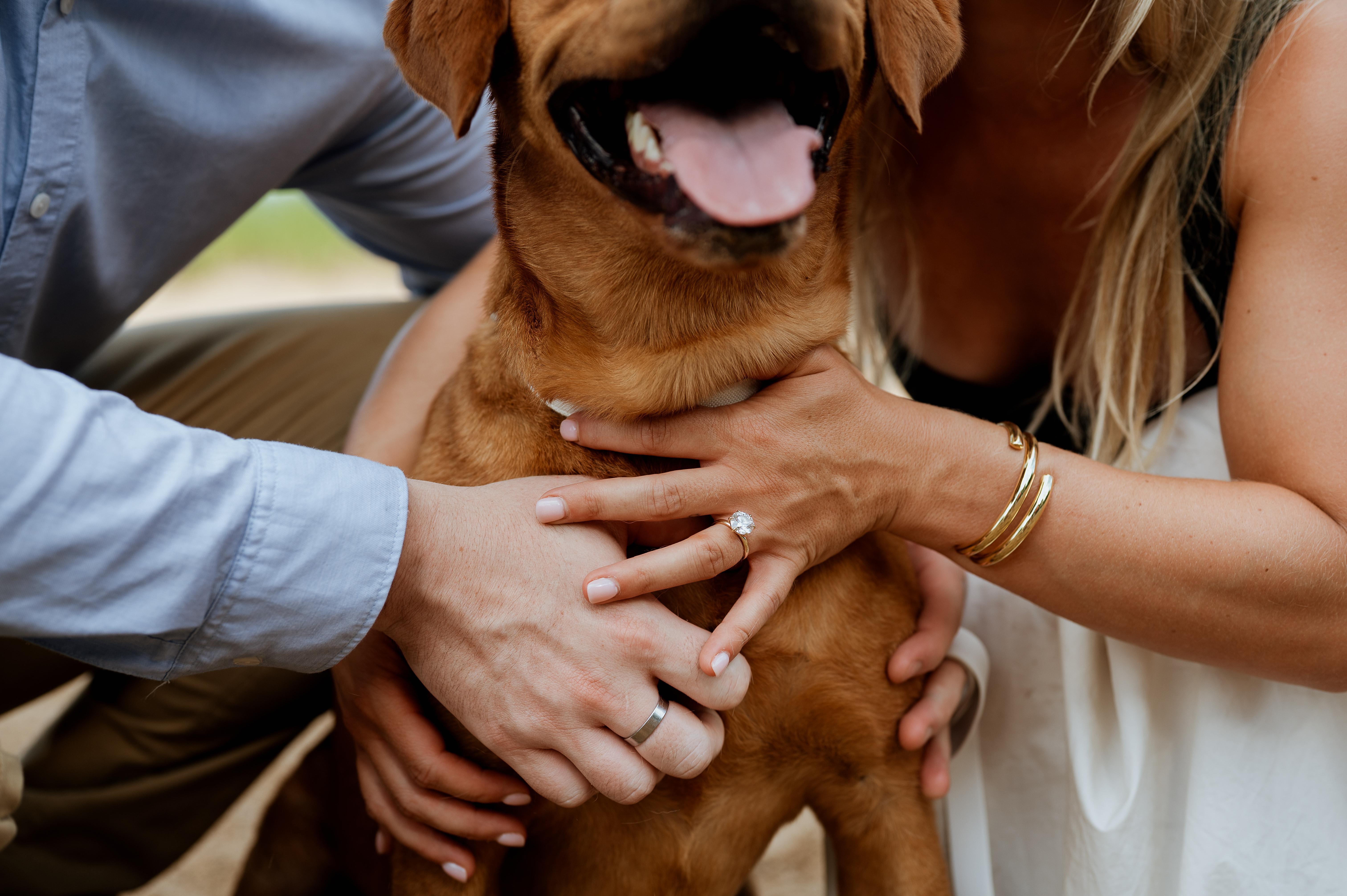 The Wedding Website of Isabella Rossi and Tony Vivirito