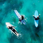Surf Trestles