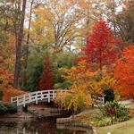 Sarah P. Duke Gardens