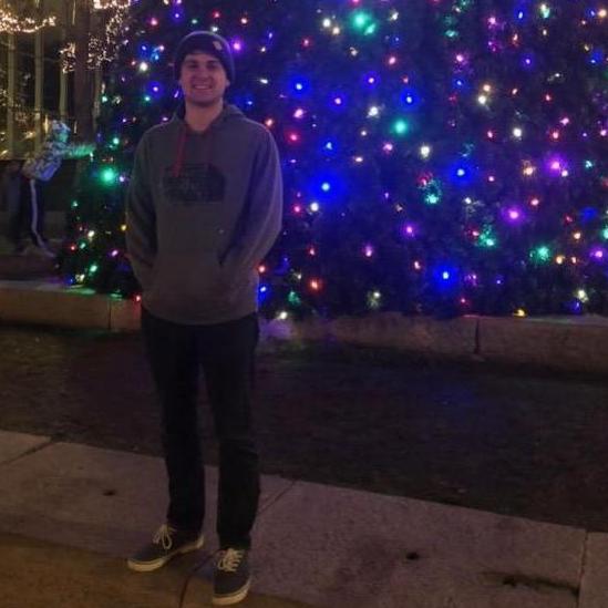 Christmas lights with family 2019