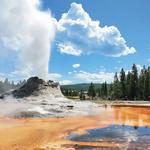 Yellowstone National Park