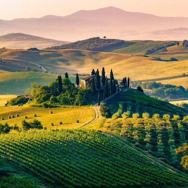 Tuscany Wine Tour