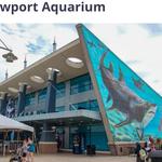 Newport Aquarium