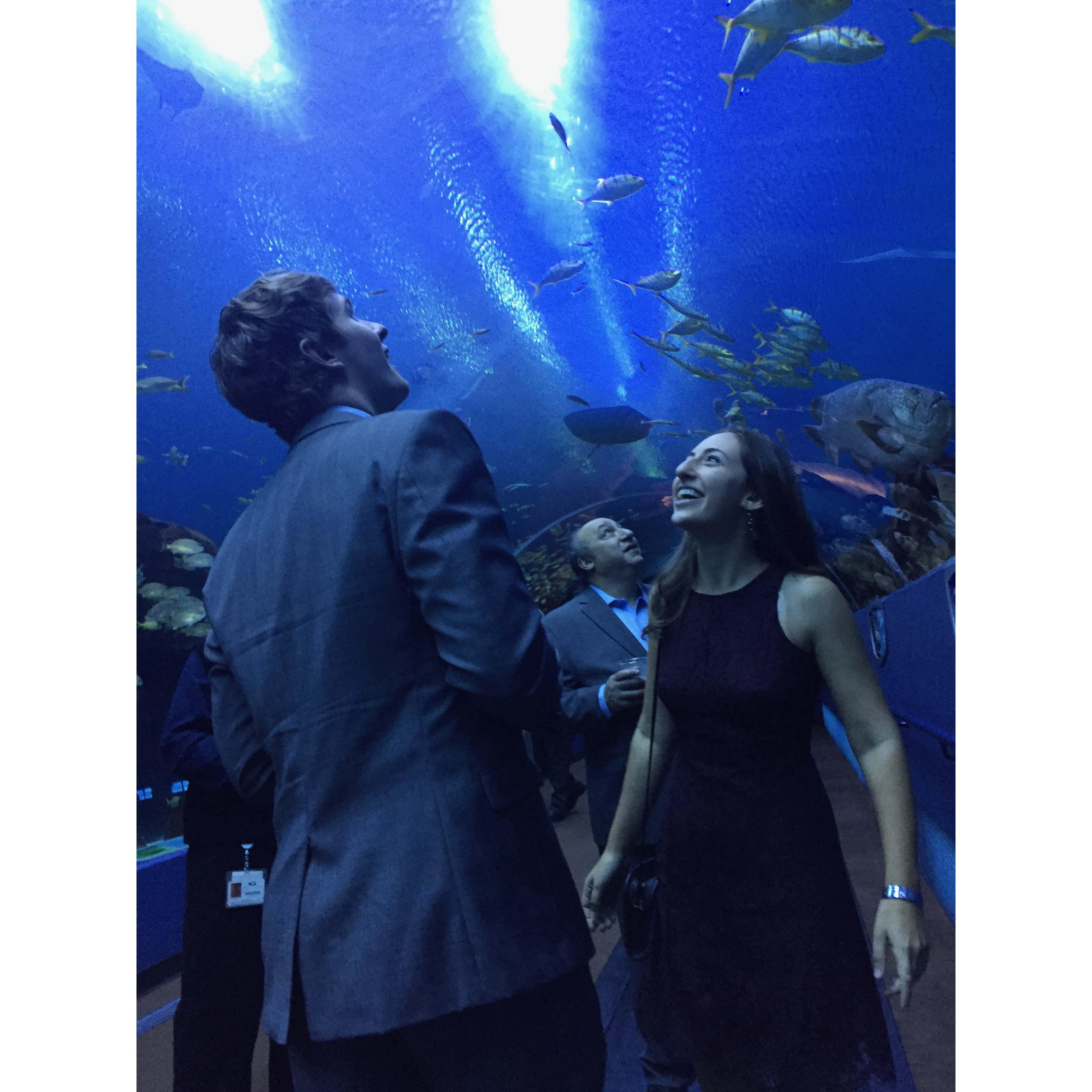 Georgia Aquarium