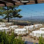 Mountain Winery