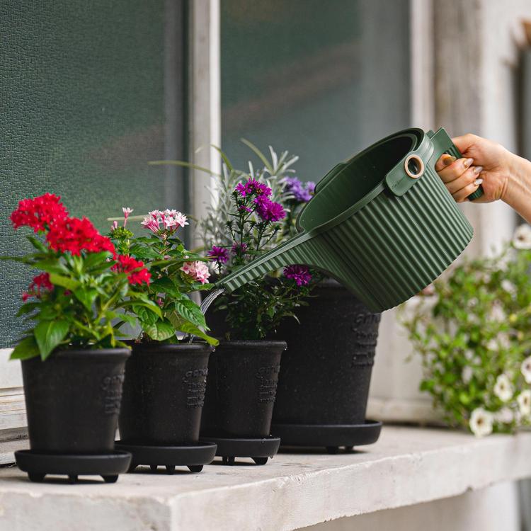 Chilewich, Hachiman Garden Small Beetle Watering Can | Zola