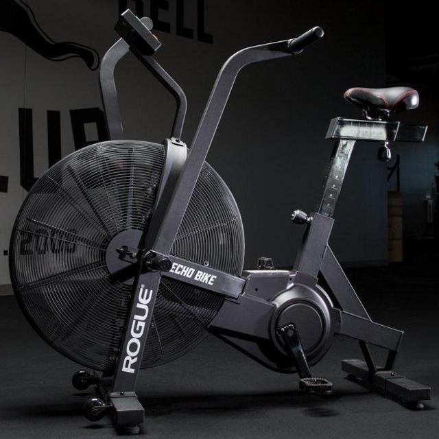 Rogue Echo Bike