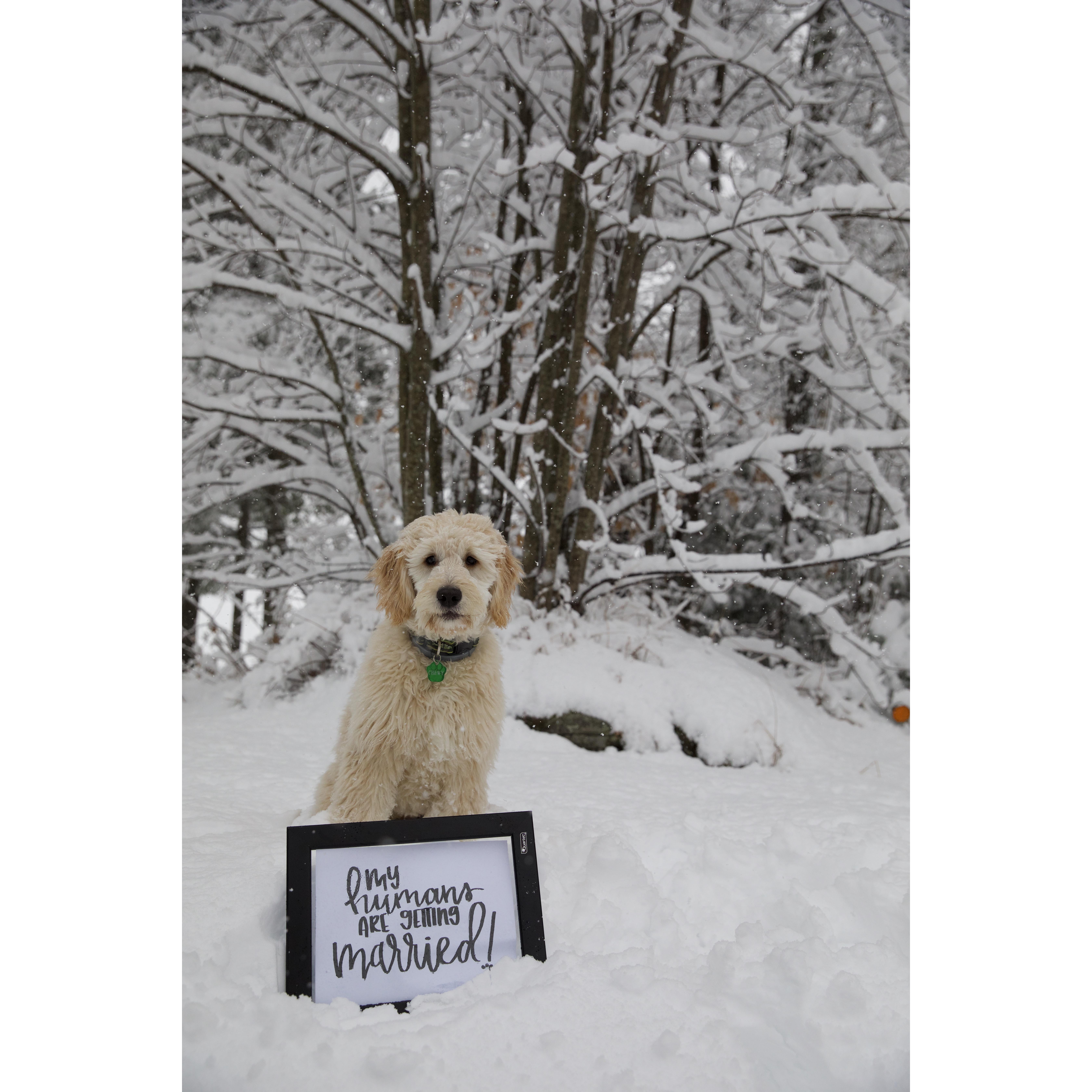 Engagement announcement (Jan 2019)!