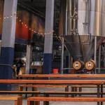 Sample local beer at Rhinegeist Brewery