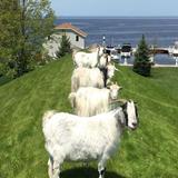 Restaurants in Door County