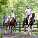 Horseback Riding