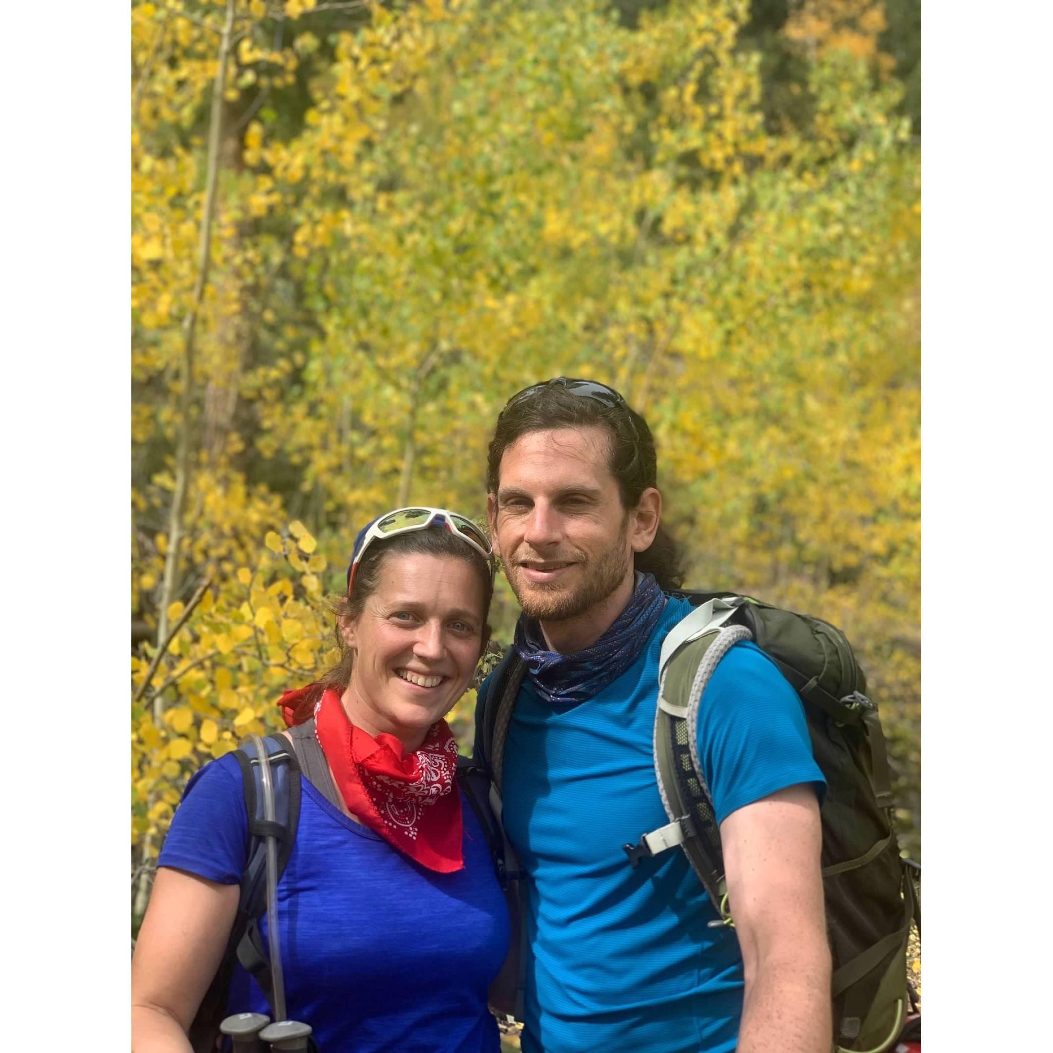 Colorado Aspens.
