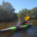 Port Sanibel Marina Kayak Rental