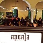 Apoala