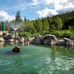 Chena Hot Springs Resort