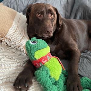 Pet Toy Fund