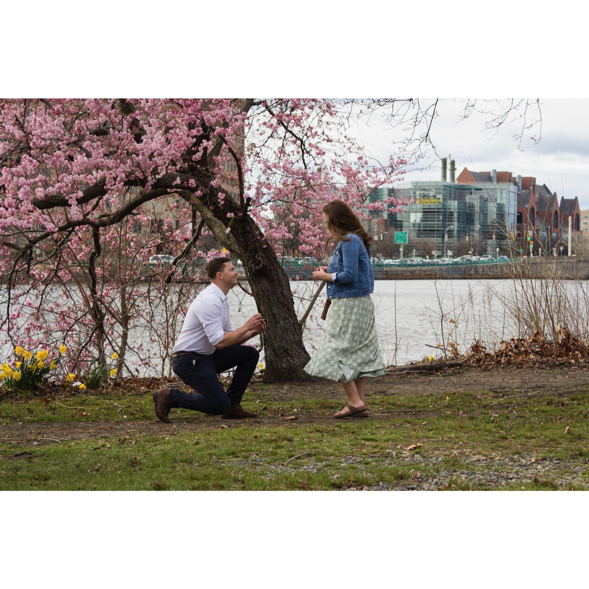 Popping the question