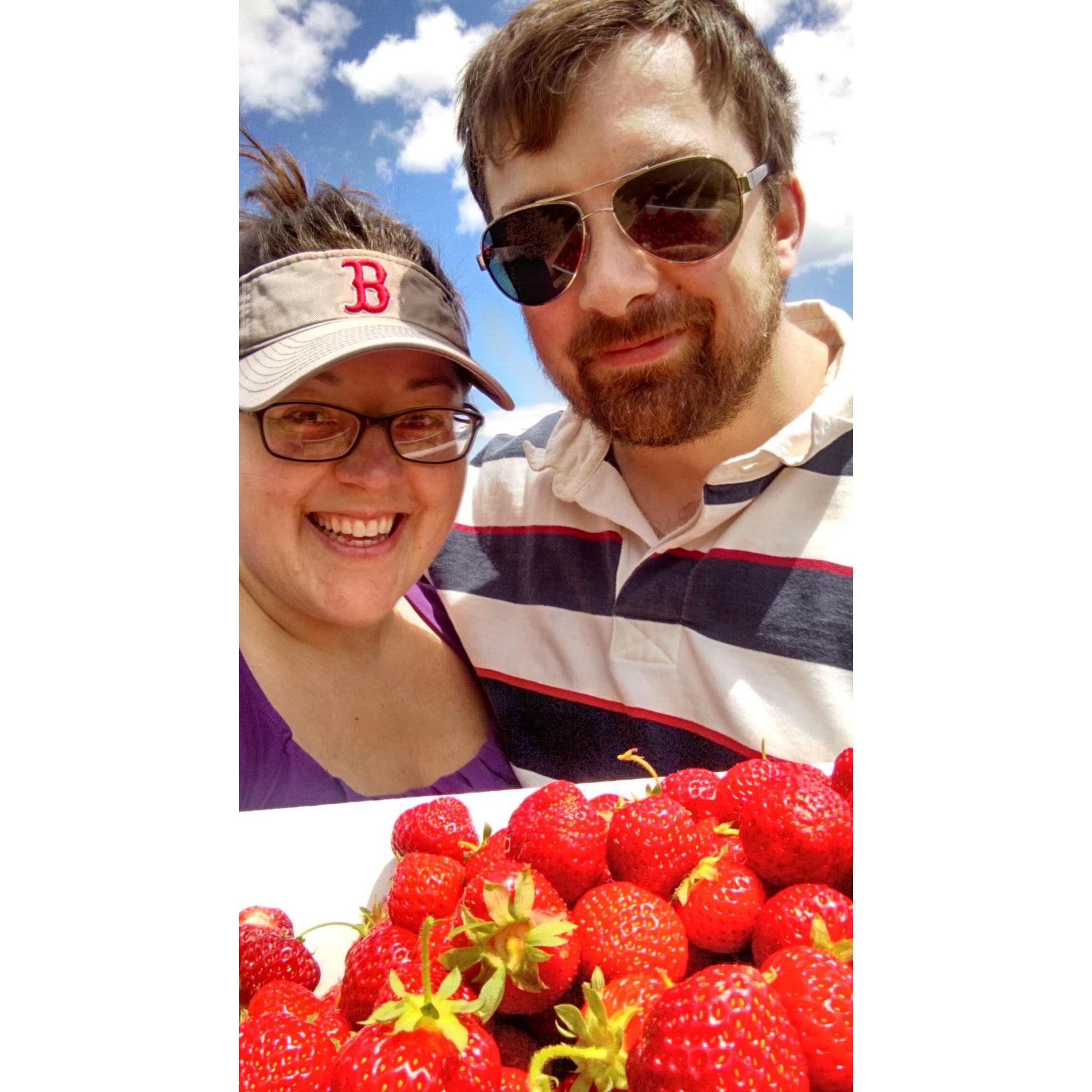 Strawberry picking June 2016