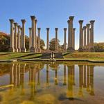 Cool & Unusual Things to do in the DC Area