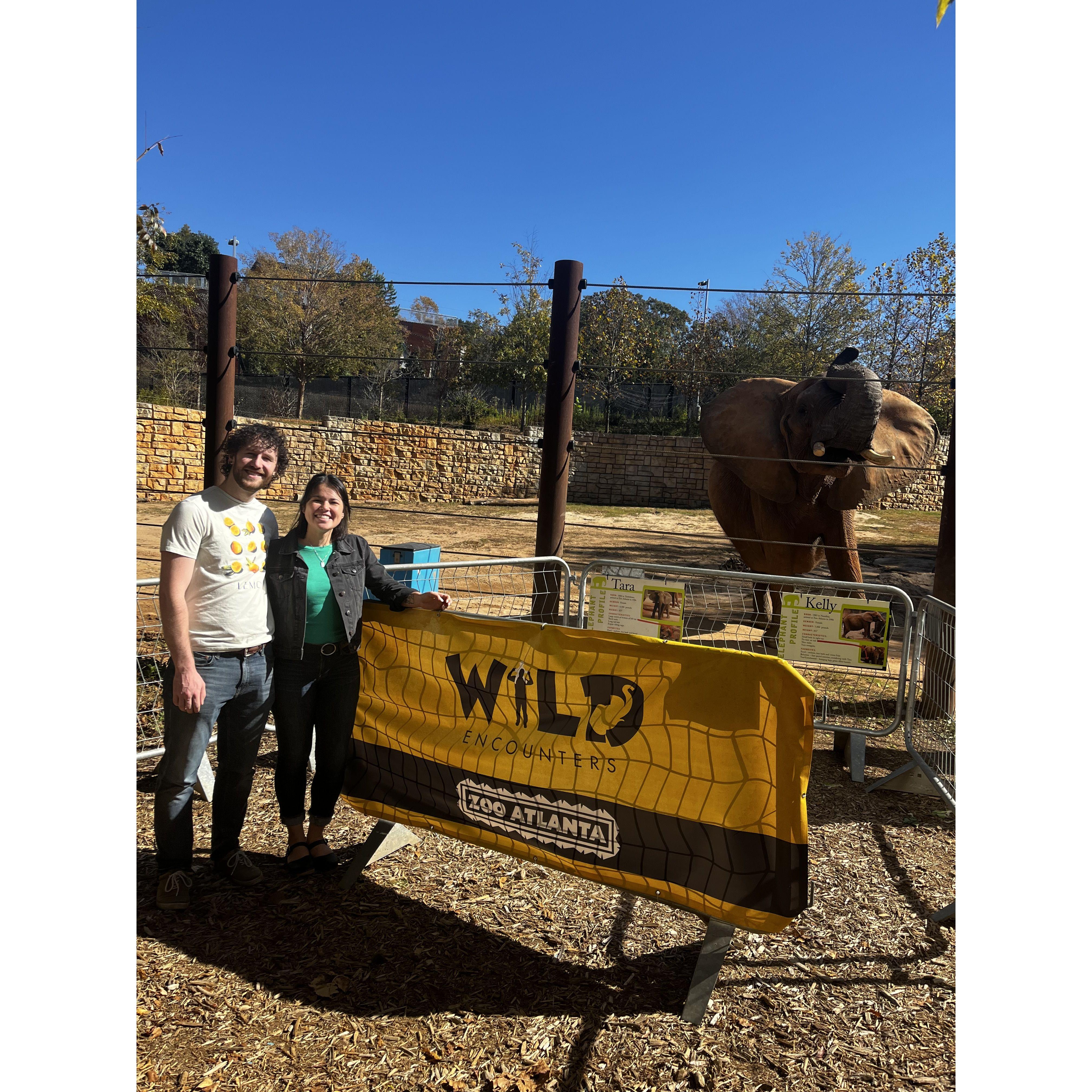 Elephant encounter at the Atlanta Zoo