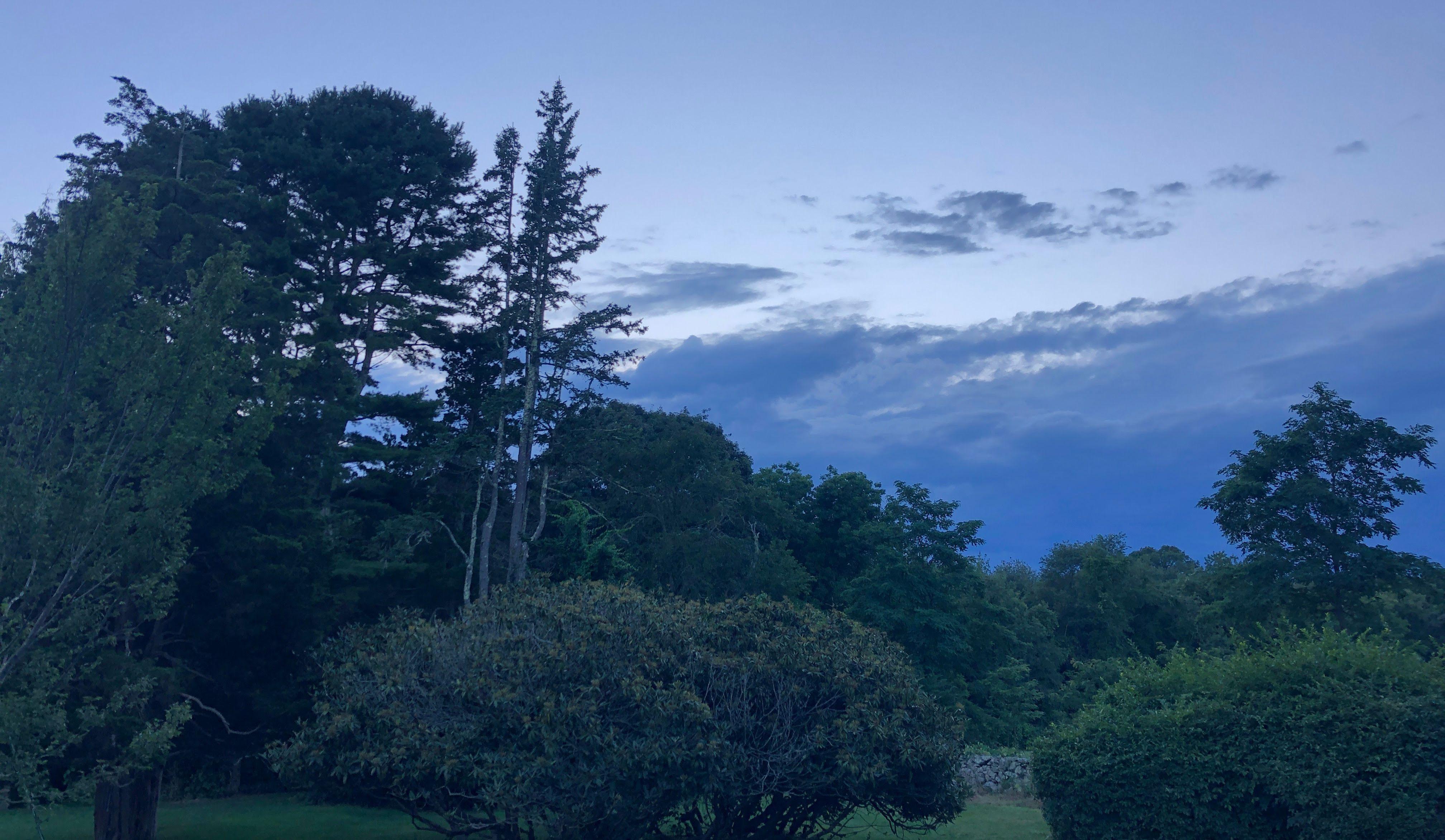 The Wedding Website of Susanna Faas-Bush and Josh Audibert