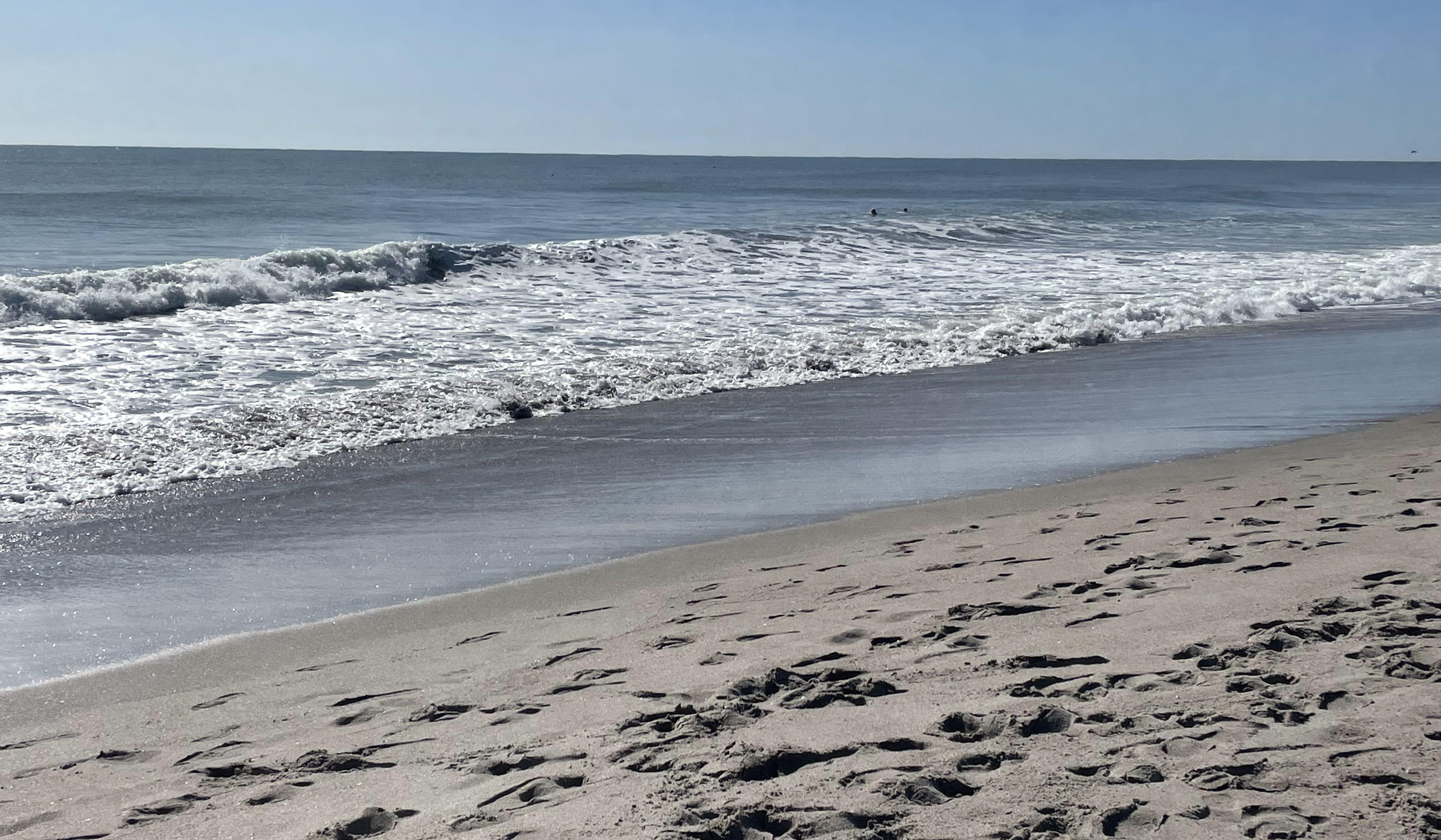 Ginger Fisher and Skye O’Brien's Wedding site