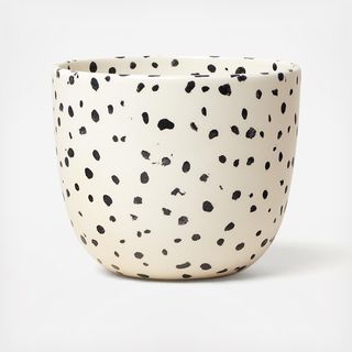 Speckled Planter