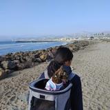San Buenaventura State Beach, Lot B