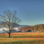 Cades Cove Scenic Loop