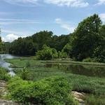Chessie Nature Trail - Running/Walking