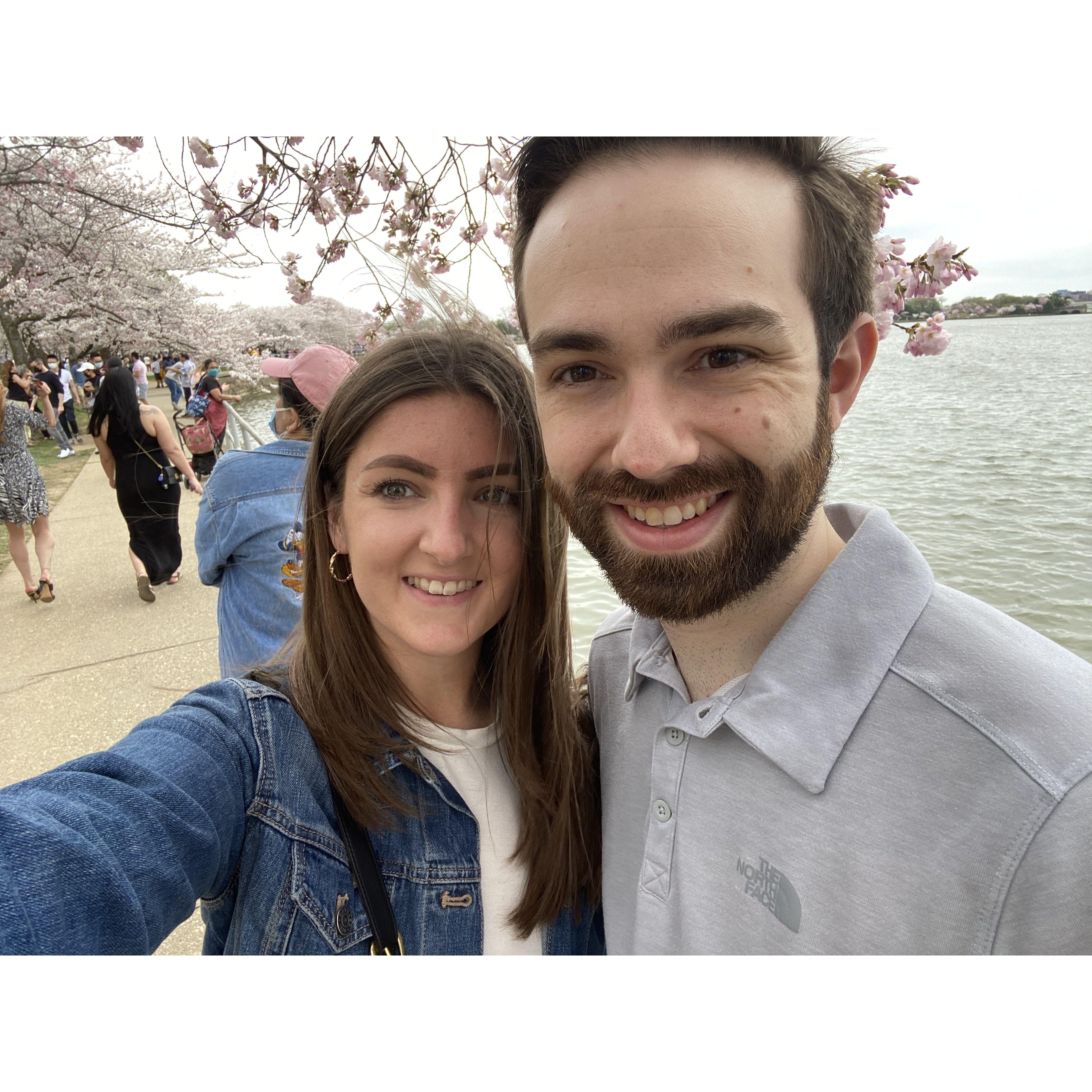 A day trip to see the Cherry Blossoms during peak bloom at the Tidal Basin in Washington, DC