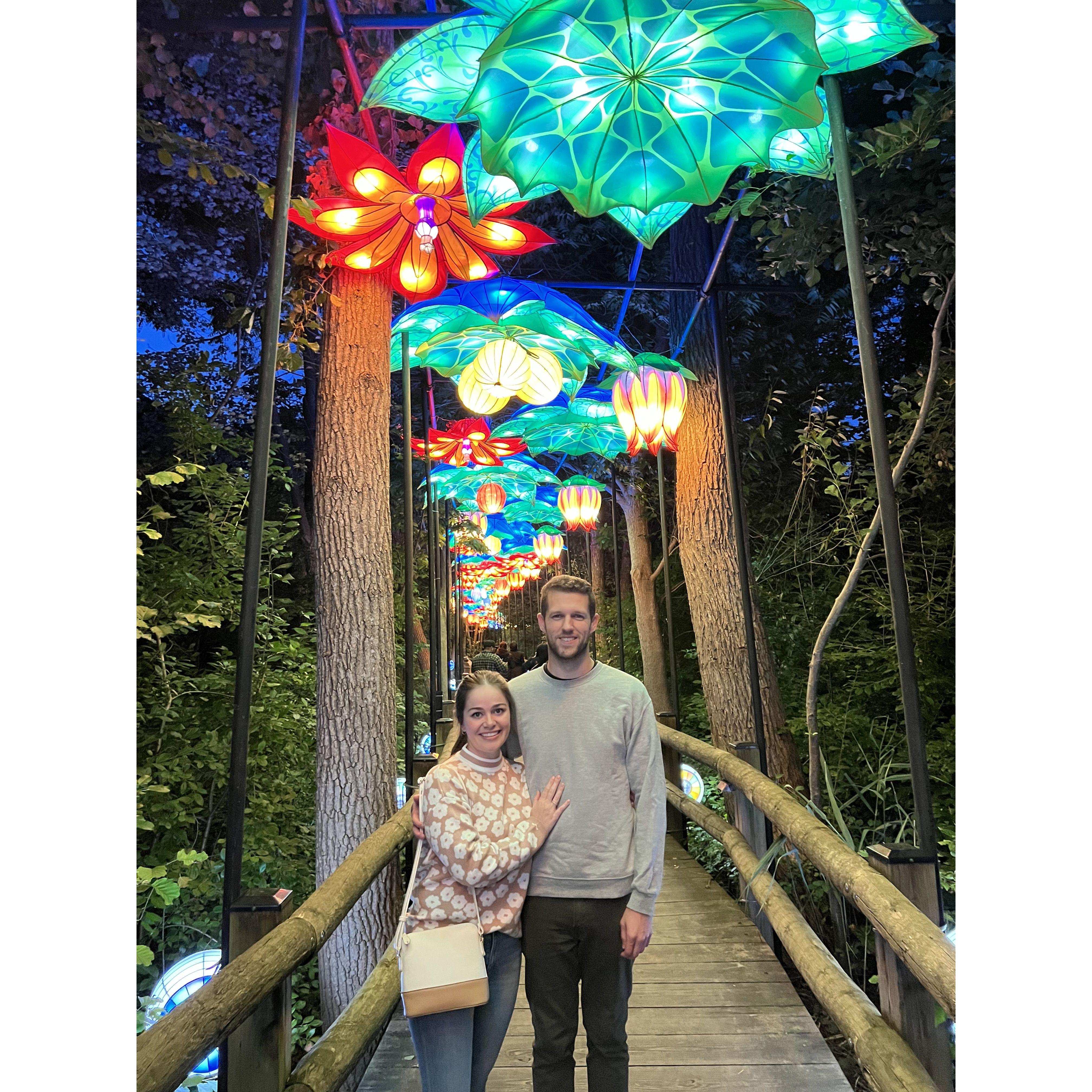 Boerner Botanical Gardens China Lights Exhibit