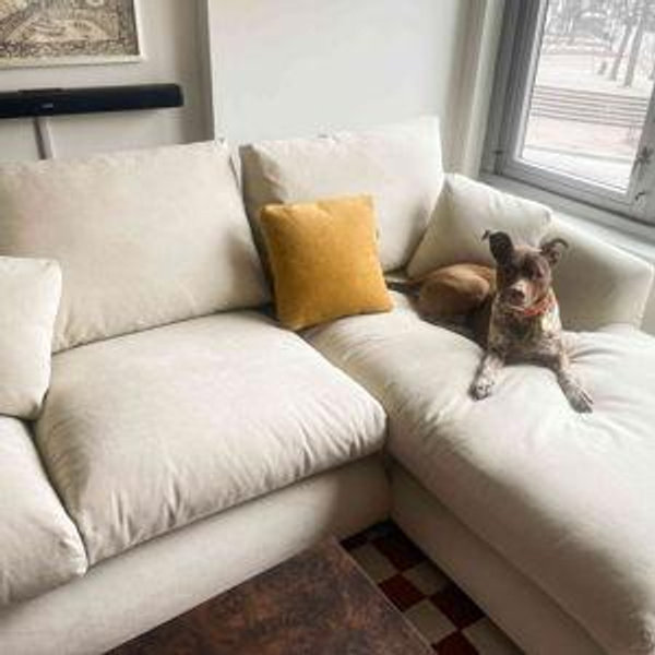 Furniture Fund!