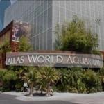 The Dallas World Aquarium
