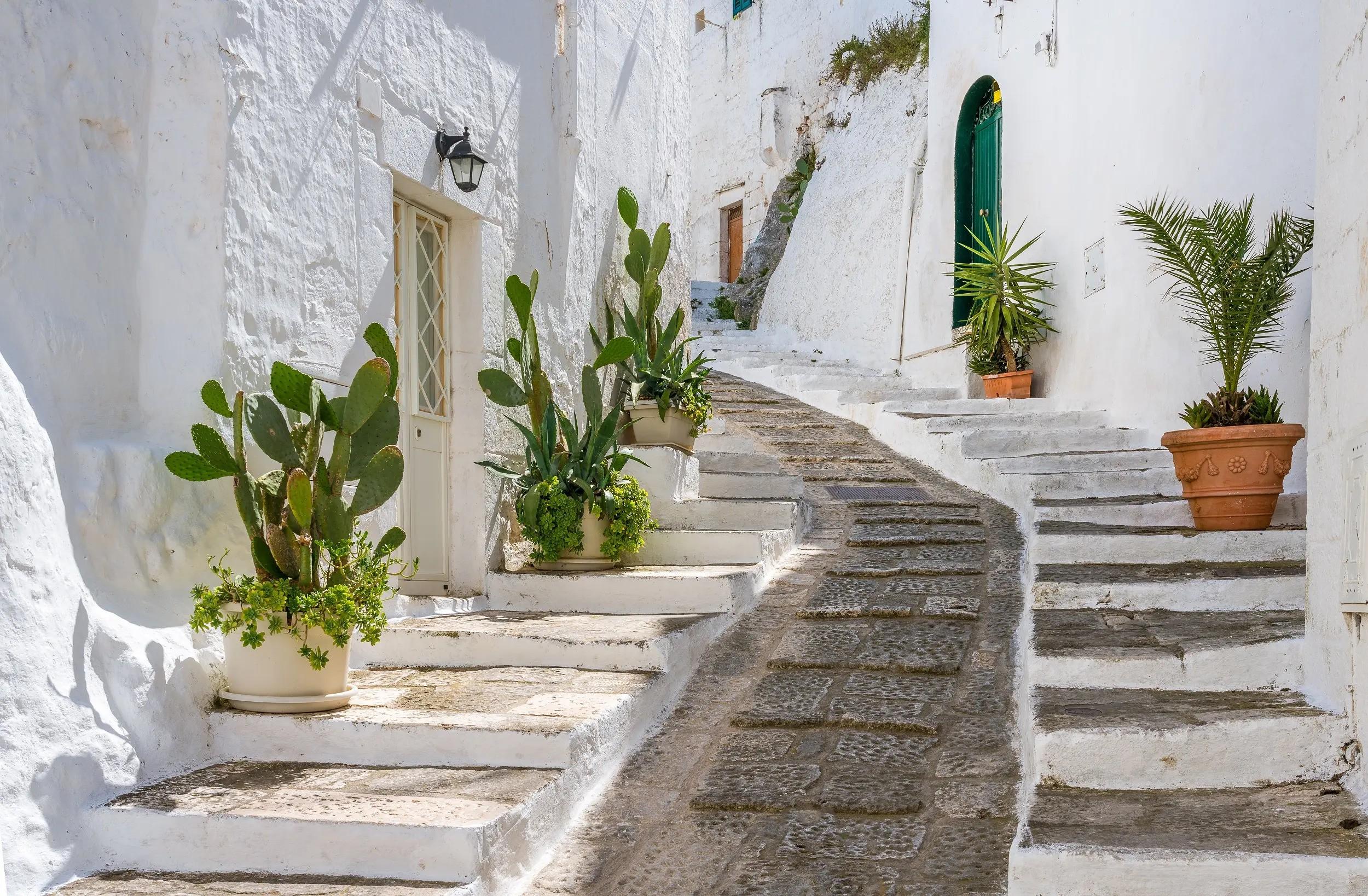 The Wedding Website of Cleopatra Zhonga and Pasquale Marangi