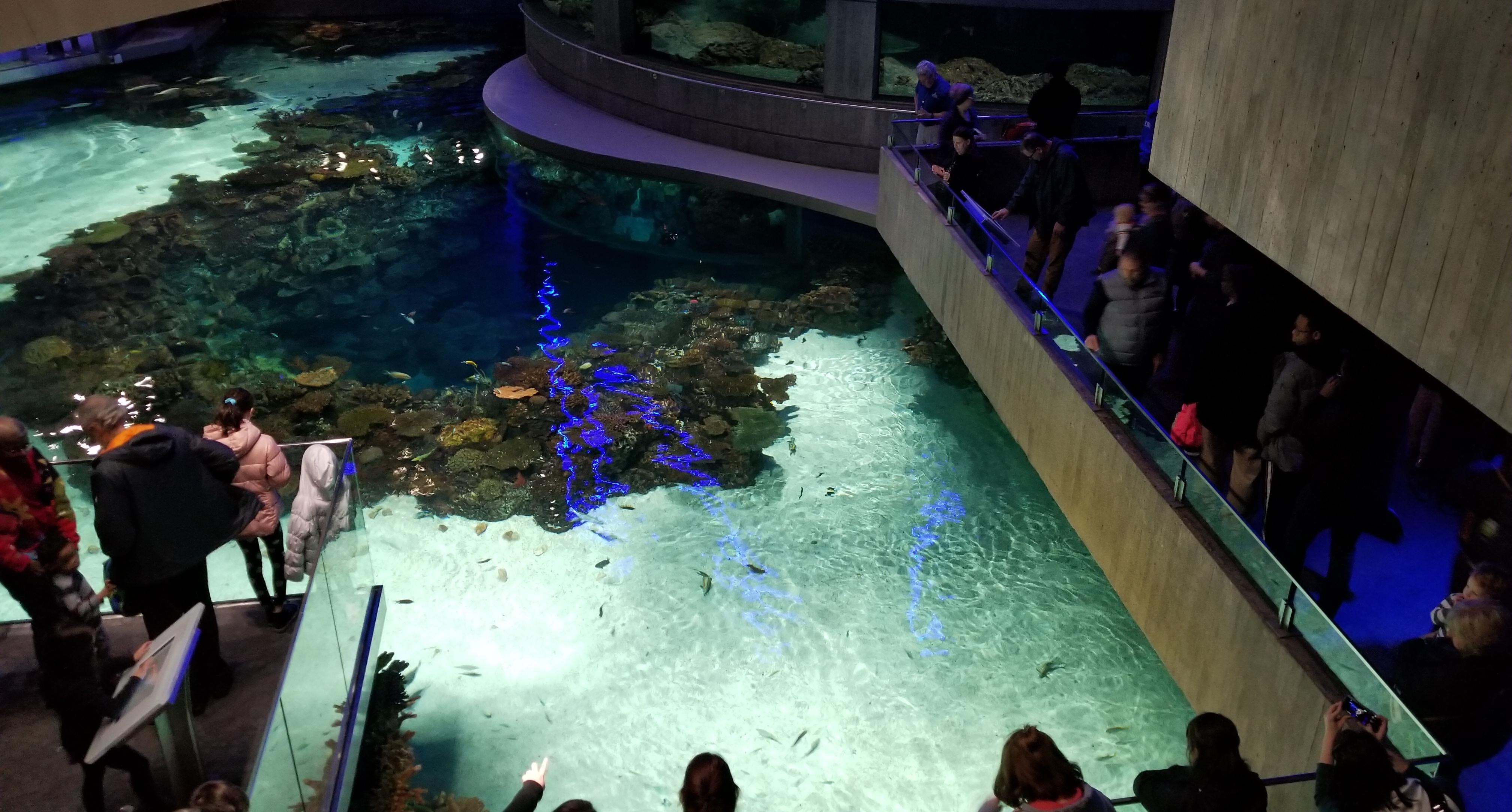 The Wedding Website of Christie Lin and Bryan Haddon