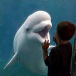 Mystic Aquarium