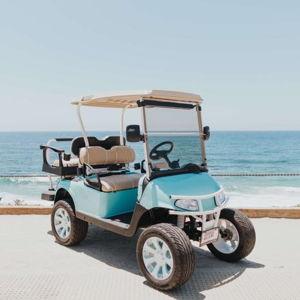Dalton's Dream Golfcart Fund
