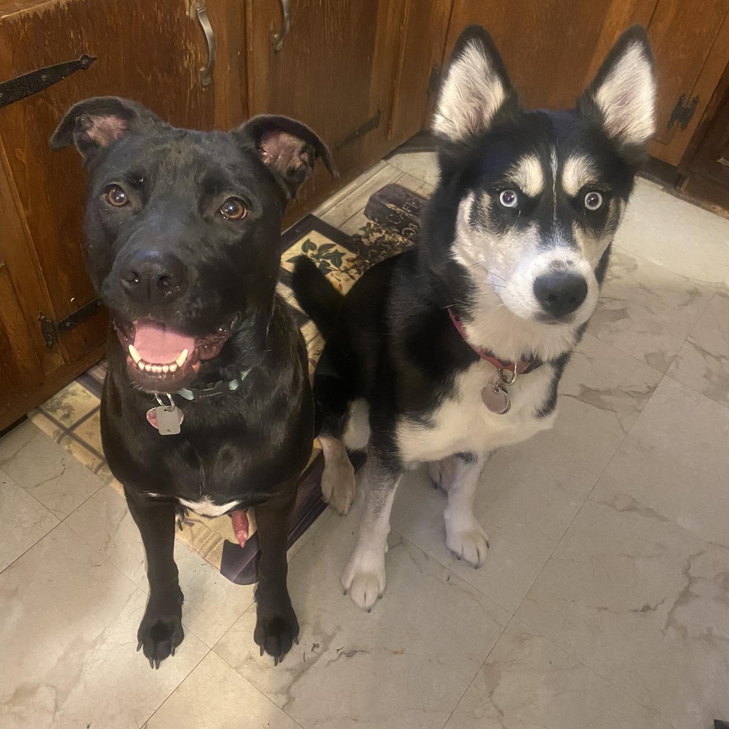 A&P