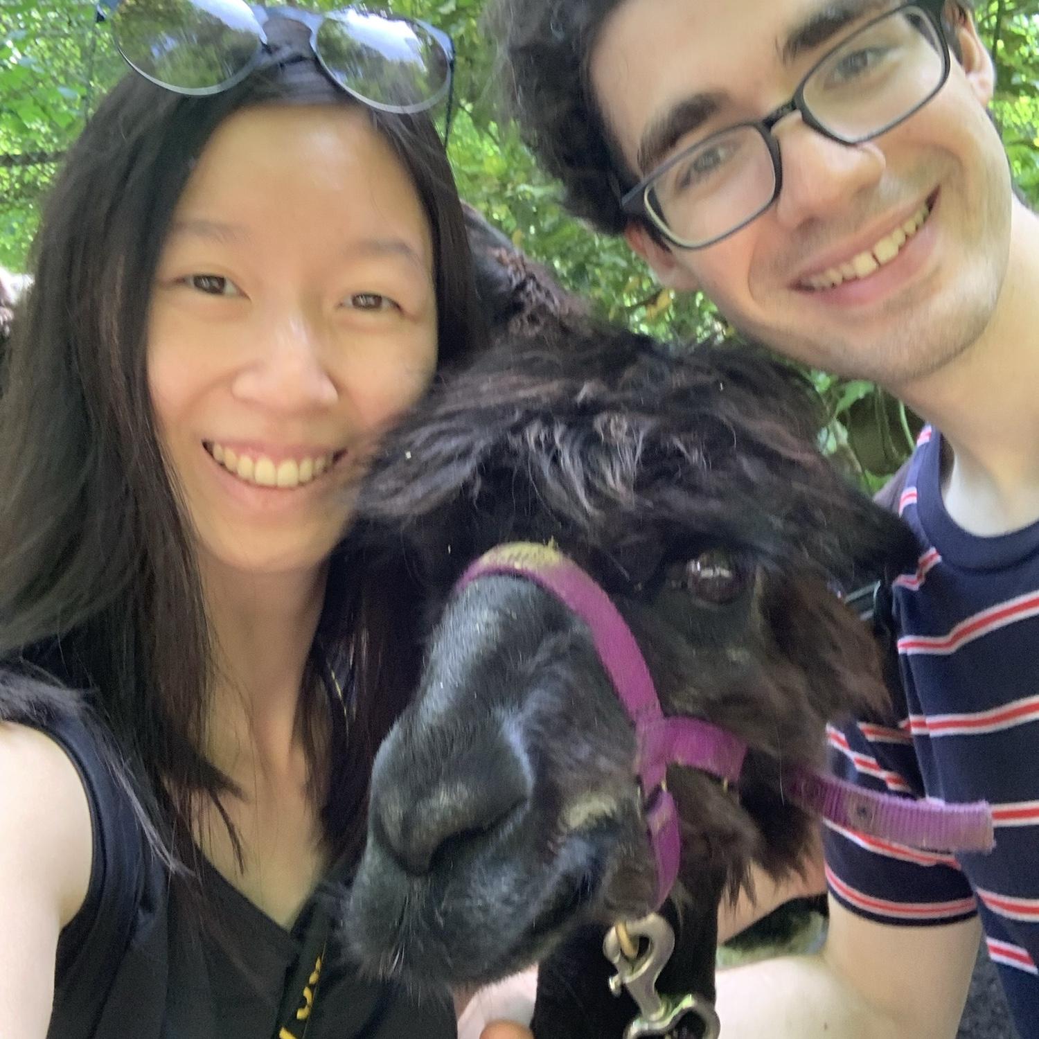 Hikes are better with alpacas