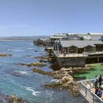 Monterey Bay Aquarium