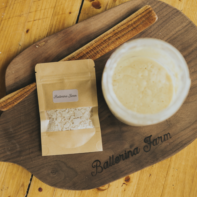 "Willa" Ballerina Farm Sourdough Starter